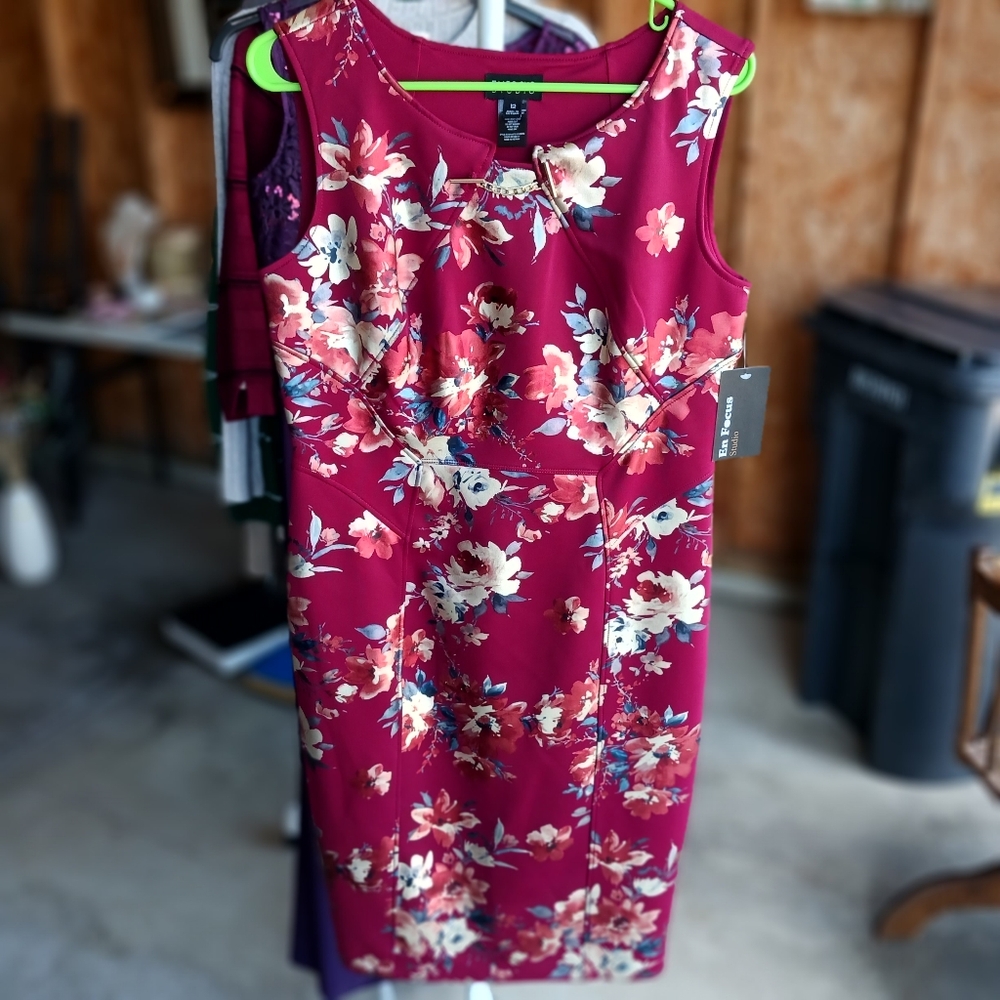 Enfocus Studio Floral Dress in Burgundy and White